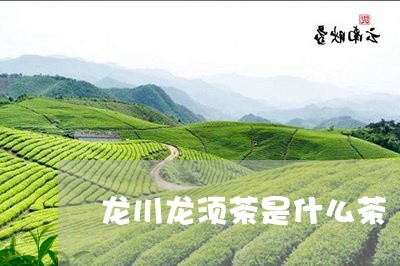 龙川龙须茶是什么茶/2023031942815