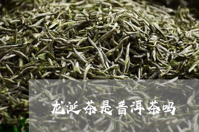 龙涎茶是普洱茶吗/2023041171404