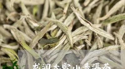 龙润大雪山普洱茶/2023033110695