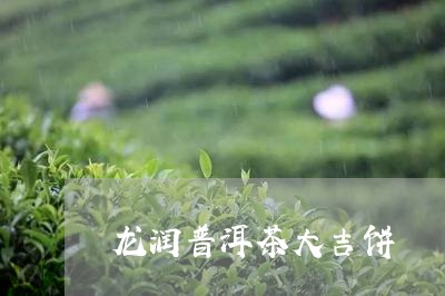 龙润普洱茶大吉饼/2023040193828