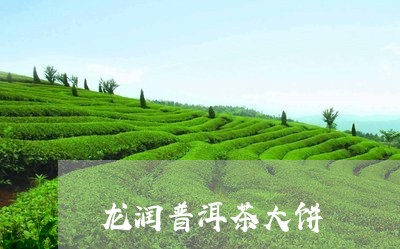 龙润普洱茶大饼/2023040178281