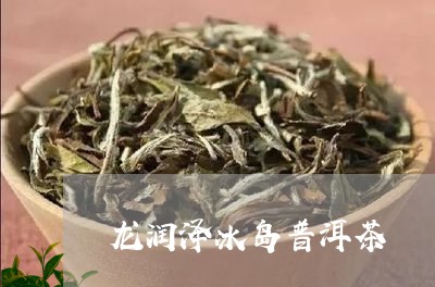 龙润泽冰岛普洱茶/2023031766946