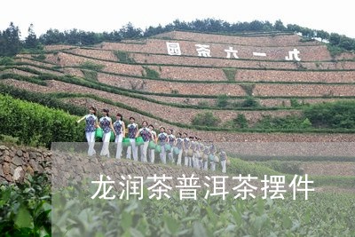 龙润茶普洱茶摆件/2023041118261