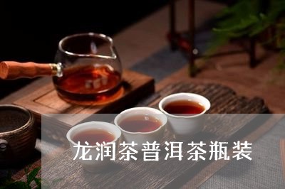 龙润茶普洱茶瓶装/2023041133806