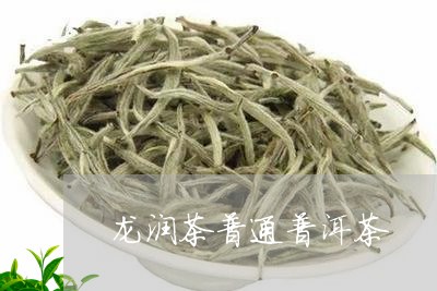 龙润茶普通普洱茶/2023041176361