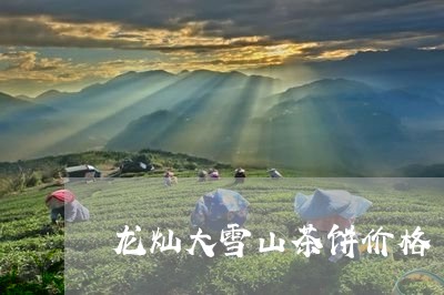 龙灿大雪山茶饼价格/2023041487158