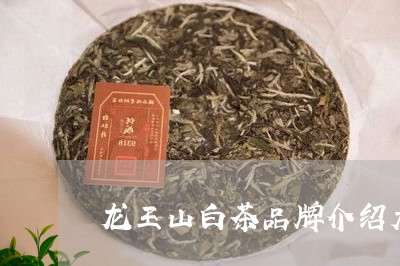 龙王山白茶品牌介绍大全/2023033051506