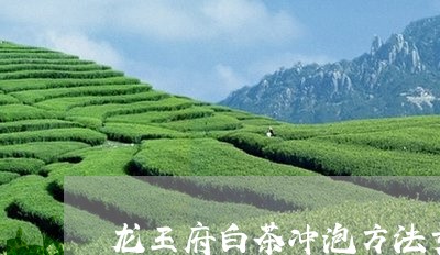 龙王府白茶冲泡方法步骤/2023033079502