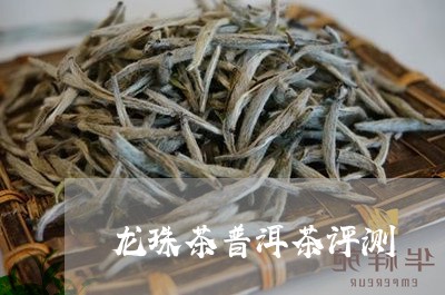 龙珠茶普洱茶评测/2023031738507