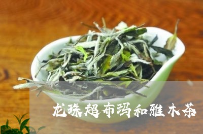 龙珠超布玛和雅木茶/2023041603815