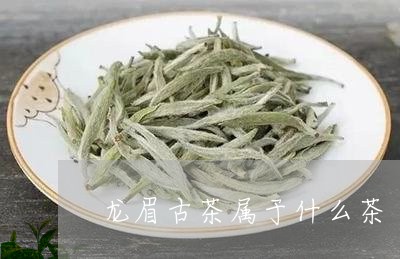 龙眉古茶属于什么茶/2023041662715