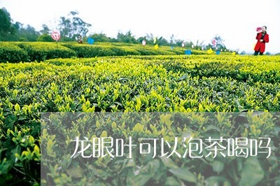 龙眼叶可以泡茶喝吗/2023041668371