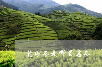 龙眼茶是哪里名茶/2023032567169