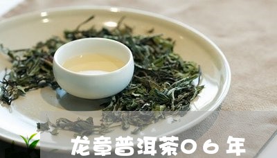 龙章普洱茶06年/2023041204926