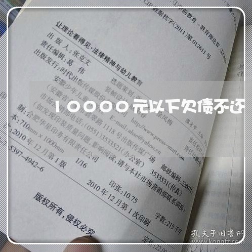 10000元以下欠债不还/2023111747403