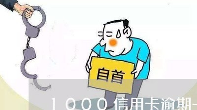 1000信用卡逾期一个月/2023060559504