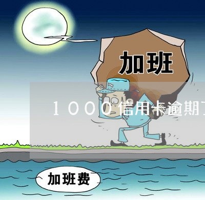 1000信用卡逾期了/2023062219251