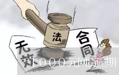 1000元网贷逾期一年/2023110757372