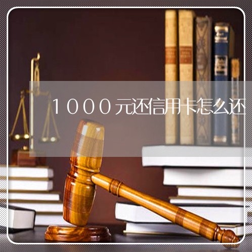 1000元还信用卡怎么还/2023120549362