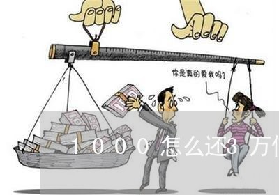 1000怎么还3万信用卡/2023120454928