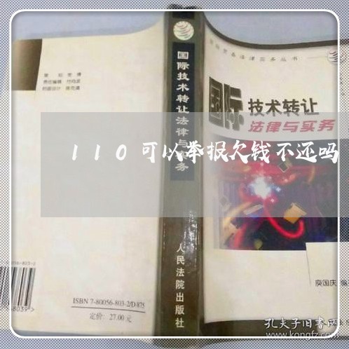 110可以举报欠钱不还吗/2023111062581