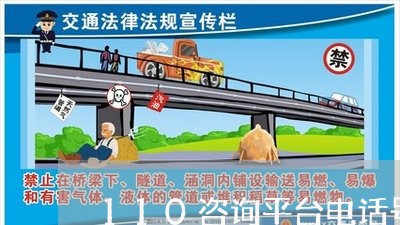 110咨询平台电话号码/2023040238260