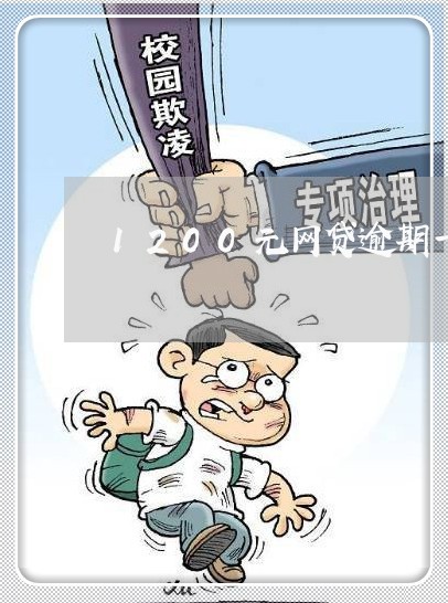 1200元网贷逾期一年/2023091239369