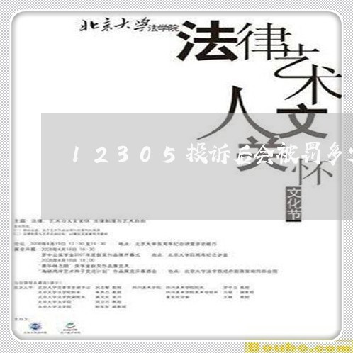 12305投诉后会被罚多少钱/2023031769602