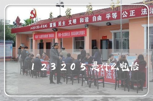 123205是什么电话/2023032659351