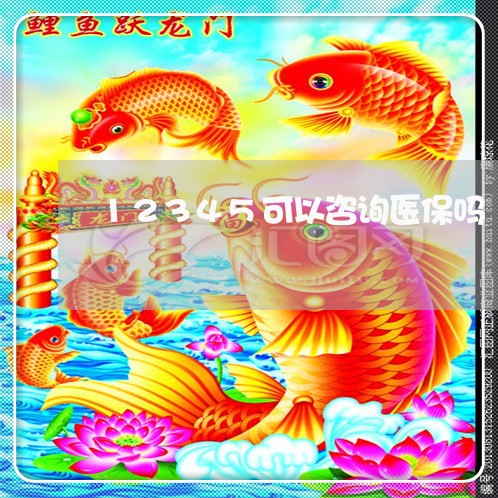 12345可以咨询医保吗/2023031712938