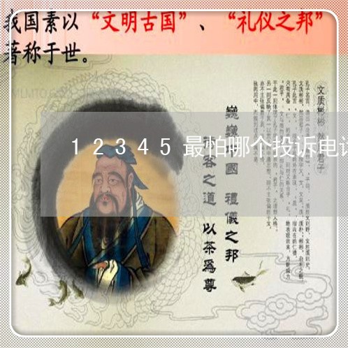 12345最怕哪个投诉电话/2023032503805