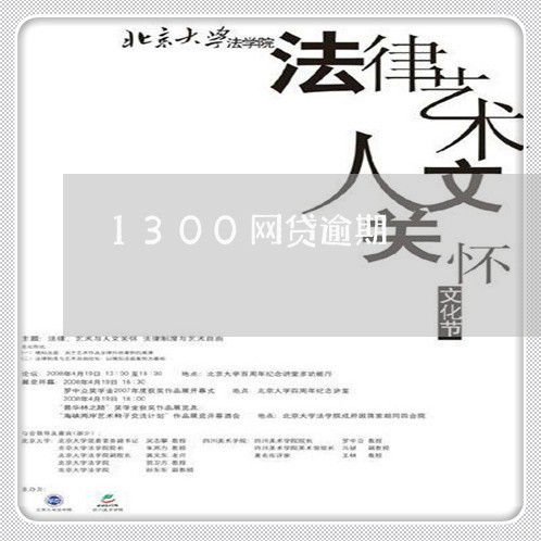 1300网贷逾期/2023081368371