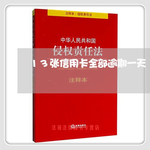 13张信用卡全部逾期一天/2023051918270