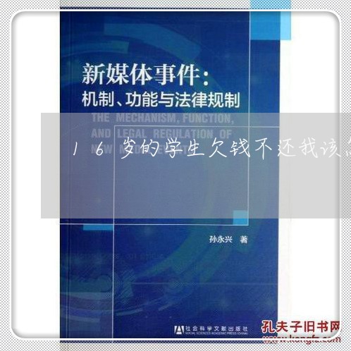 16岁的学生欠钱不还我该怎么办/2023120596736