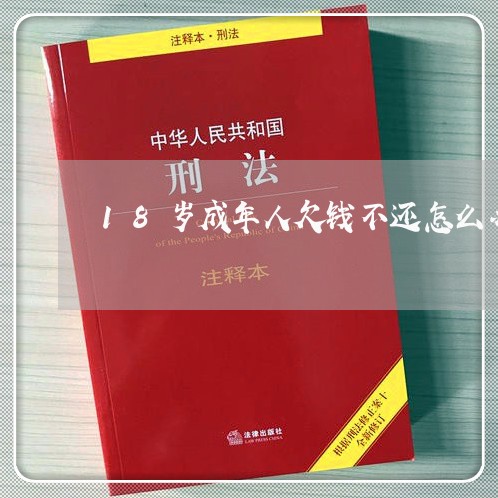 18岁成年人欠钱不还怎么办/2023121096828