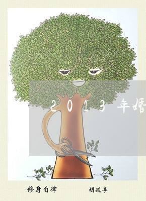 2013年婚姻登记表/2023081654704