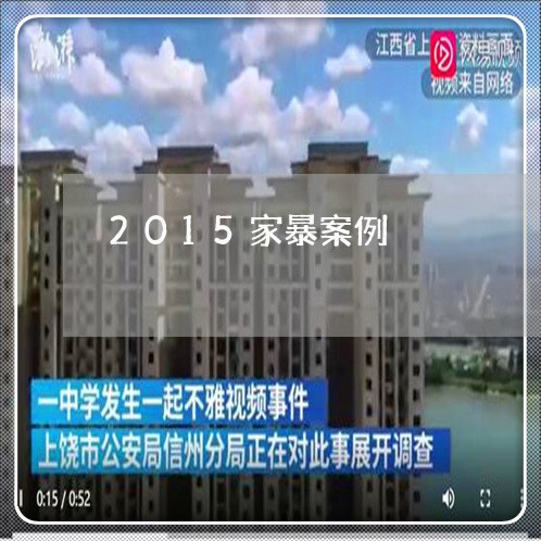 2015家暴案例/2023100628271