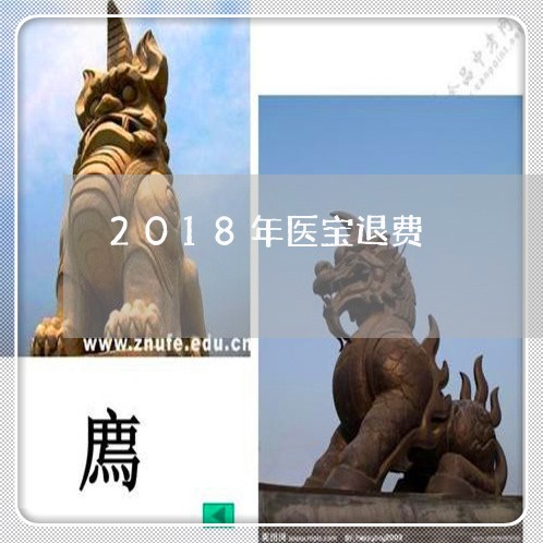 2018年医宝退费/2023061604927