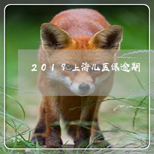 2019上海儿医保逾期/2023052796158