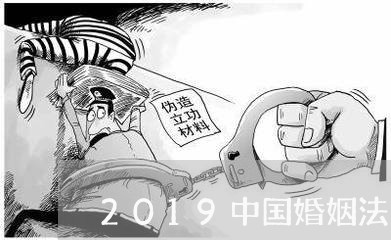 2019中国婚姻法则/2023112393037