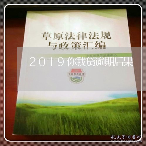 2019你我贷逾期后果/2023062253059