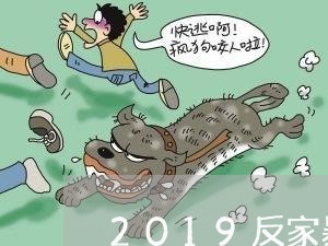 2019反家暴法/2023100603926