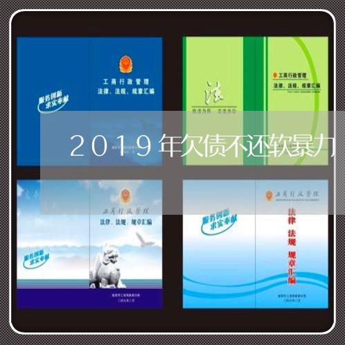 2019年欠债不还软暴力/2023102572482