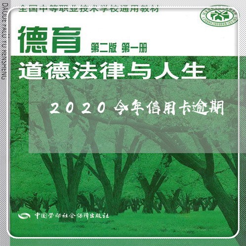 2020今年信用卡逾期/2023062805261