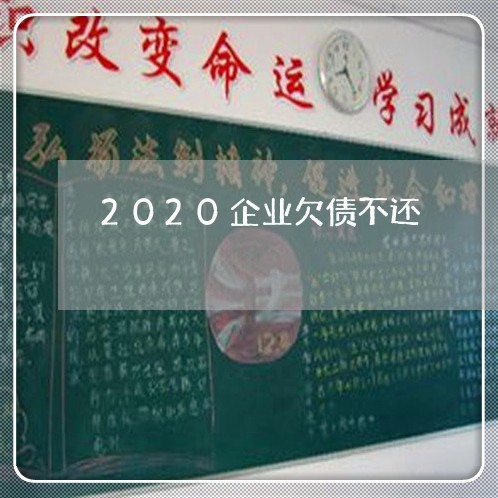 2020企业欠债不还/2023111148359