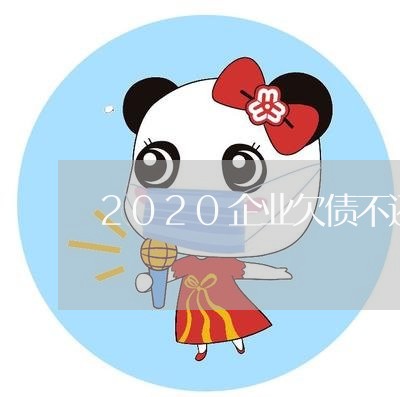 2020企业欠债不还/2023111149262