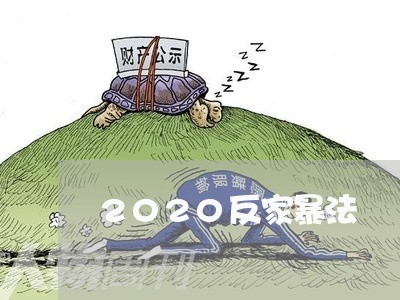 2020反家暴法/2023100628361