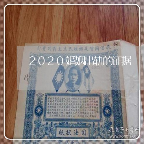 2020婚姻出轨的证据/2023081416348