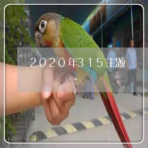 2020年315主题/2023032705827