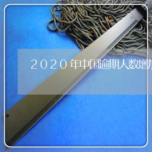 2020年中国逾期人数增加/2023053093260